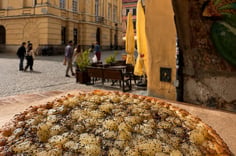 Lublin na okrągło: cebularze, bajgle