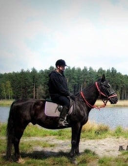 Jazda konna w lesie