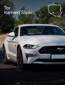 ford mustang na torze