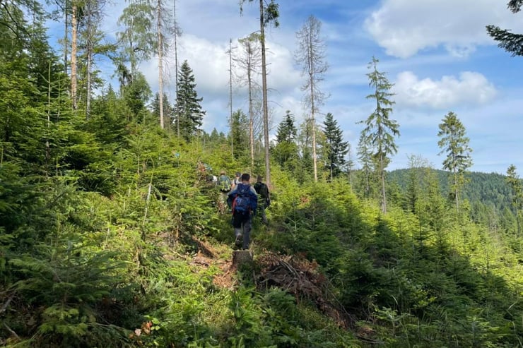 marsz w górach